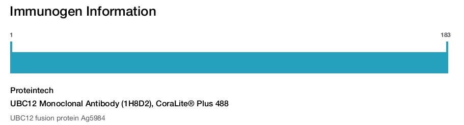 UBC12 Monoclonal Antibody (1H8D2), CoraLite&reg; Plus 488