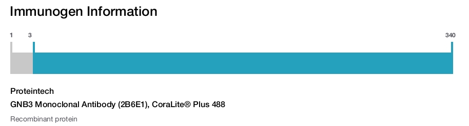 GNB3 Monoclonal Antibody (2B6E1), CoraLite&reg; Plus 488
