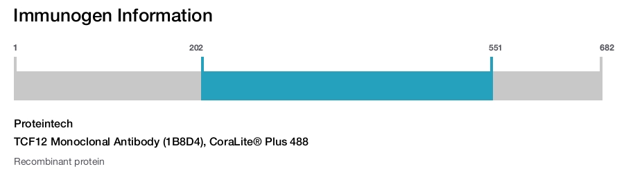 TCF12 Monoclonal Antibody (1B8D4), CoraLite&reg; Plus 488