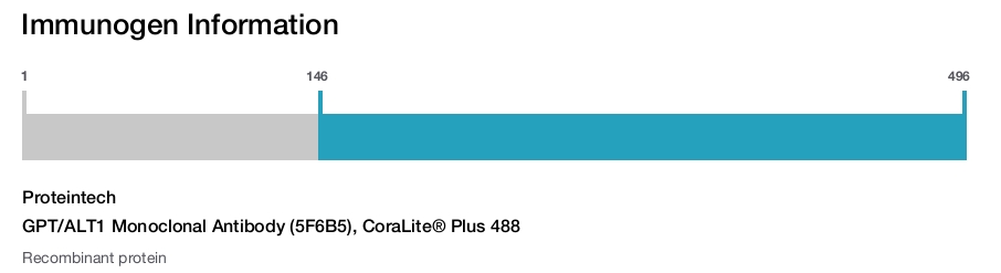 GPT/ALT1 Monoclonal Antibody (5F6B5), CoraLite&reg; Plus 488