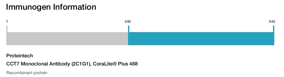 CCT7 Monoclonal Antibody (2C1G1), CoraLite&reg; Plus 488