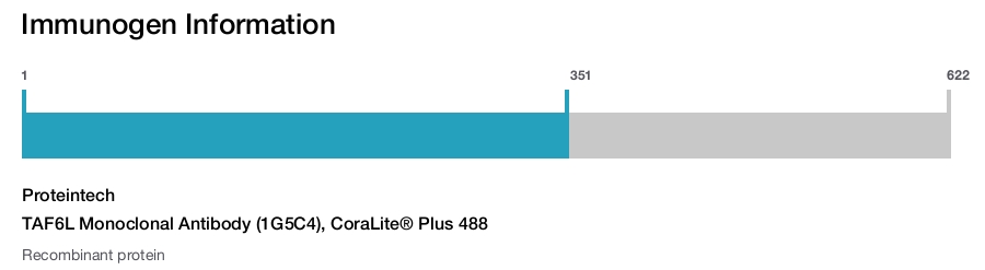 TAF6L Monoclonal Antibody (1G5C4), CoraLite&reg; Plus 488