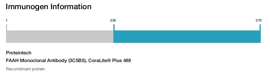FAAH Monoclonal Antibody (3C5B5), CoraLite&reg; Plus 488