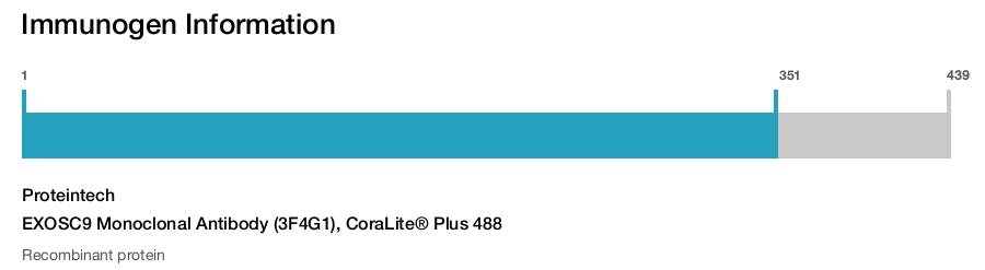 EXOSC9 Monoclonal Antibody (3F4G1), CoraLite&reg; Plus 488