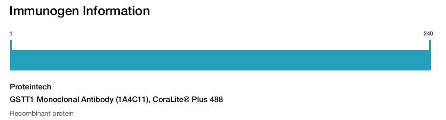 GSTT1 Monoclonal Antibody (1A4C11), CoraLite&reg; Plus 488