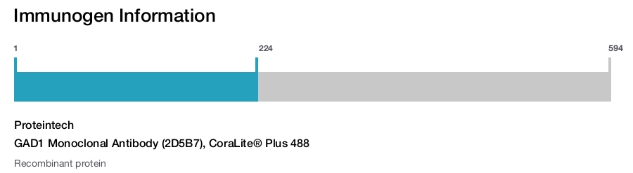 GAD1 Monoclonal Antibody (2D5B7), CoraLite&reg; Plus 488