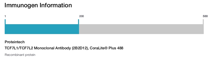 TCF7L1/TCF7L2 Monoclonal Antibody (2B2D12), CoraLite&reg; Plus 488