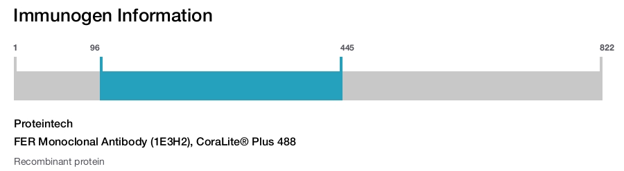 FER Monoclonal Antibody (1E3H2), CoraLite&reg; Plus 488
