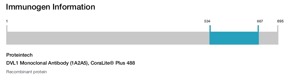 DVL1 Monoclonal Antibody (1A2A5), CoraLite&reg; Plus 488
