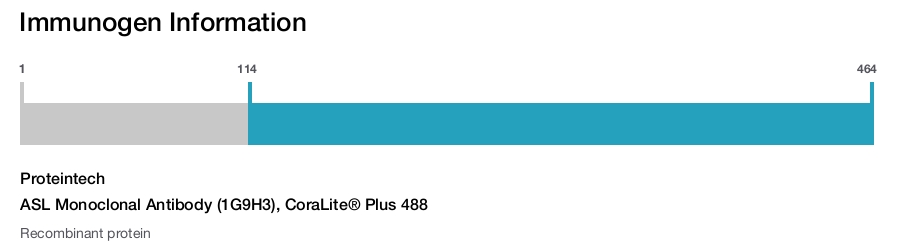 ASL Monoclonal Antibody (1G9H3), CoraLite&reg; Plus 488