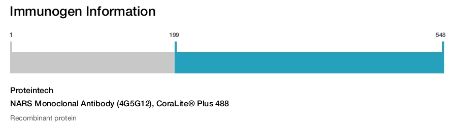 NARS Monoclonal Antibody (4G5G12), CoraLite&reg; Plus 488