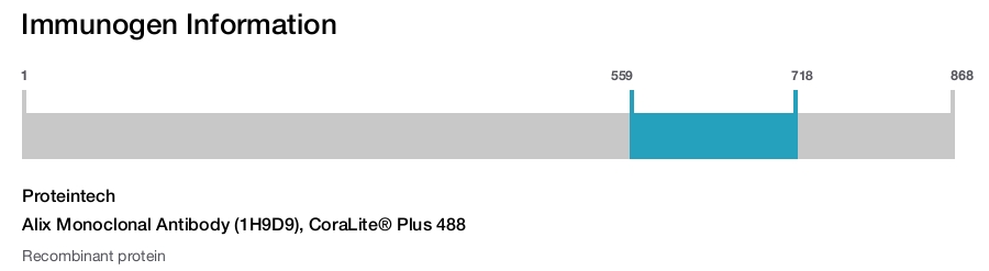 Alix Monoclonal Antibody (1H9D9), CoraLite&reg; Plus 488