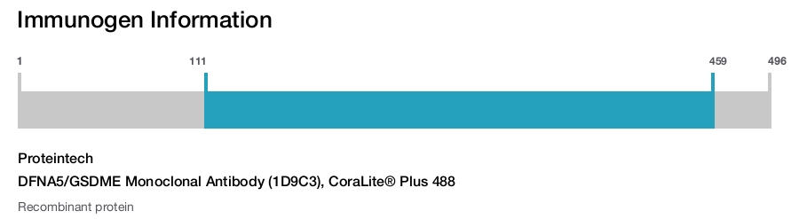 DFNA5/GSDME Monoclonal Antibody (1D9C3), CoraLite® Plus 488
