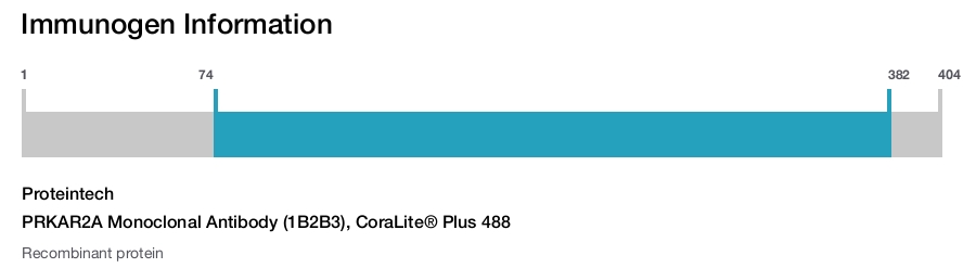 PRKAR2A Monoclonal Antibody (1B2B3), CoraLite&reg; Plus 488