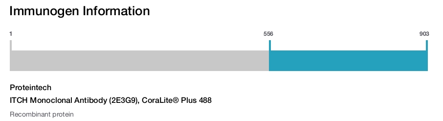 ITCH Monoclonal Antibody (2E3G9), CoraLite&reg; Plus 488