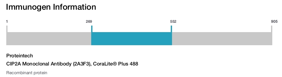 CIP2A Monoclonal Antibody (2A3F3), CoraLite&reg; Plus 488