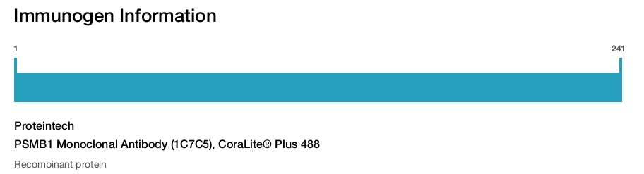 PSMB1 Monoclonal Antibody (1C7C5), CoraLite&reg; Plus 488
