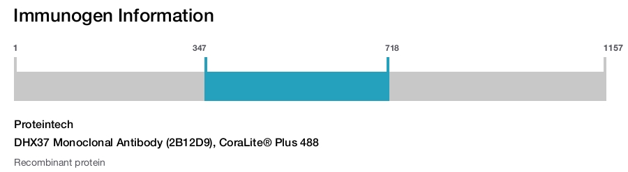 DHX37 Monoclonal Antibody (2B12D9), CoraLite&reg; Plus 488