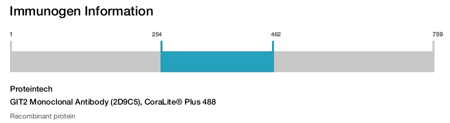 GIT2 Monoclonal Antibody (2D9C5), CoraLite&reg; Plus 488