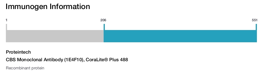 CBS Monoclonal Antibody (1E4F10), CoraLite&reg; Plus 488