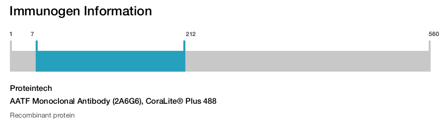 AATF Monoclonal Antibody (2A6G6), CoraLite&reg; Plus 488