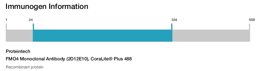 FMO4 Monoclonal Antibody (2D12E10), CoraLite&reg; Plus 488