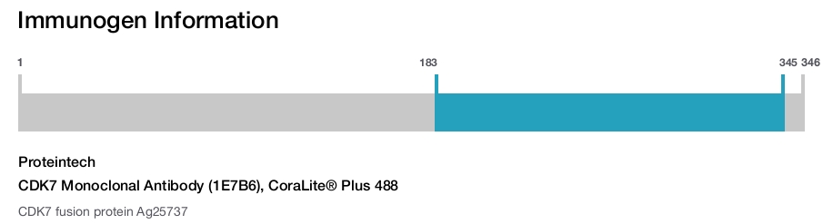 CDK7 Monoclonal Antibody (1E7B6), CoraLite&reg; Plus 488