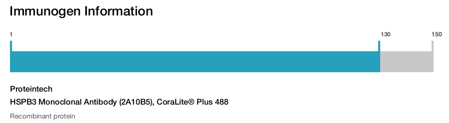 HSPB3 Monoclonal Antibody (2A10B5), CoraLite&reg; Plus 488