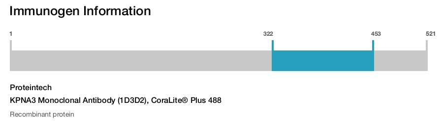 KPNA3 Monoclonal Antibody (1D3D2), CoraLite&reg; Plus 488