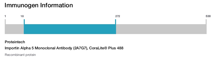 Importin Alpha 5 Monoclonal Antibody (2A7G7), CoraLite&reg; Plus 488