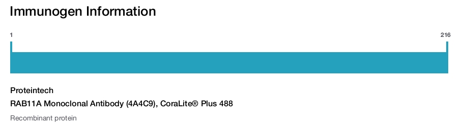 RAB11A Monoclonal Antibody (4A4C9), CoraLite&reg; Plus 488