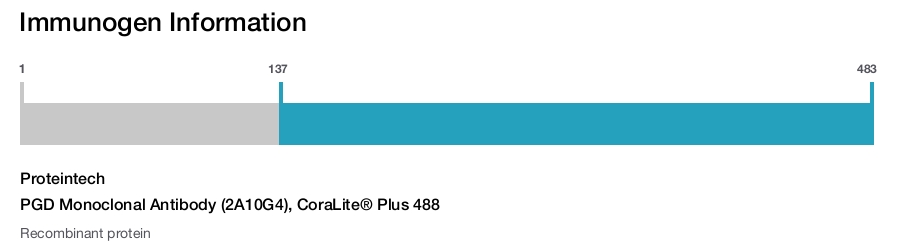 PGD Monoclonal Antibody (2A10G4), CoraLite&reg; Plus 488