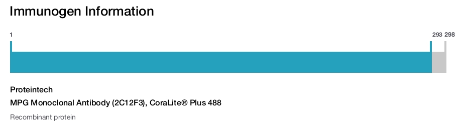 MPG Monoclonal Antibody (2C12F3), CoraLite&reg; Plus 488