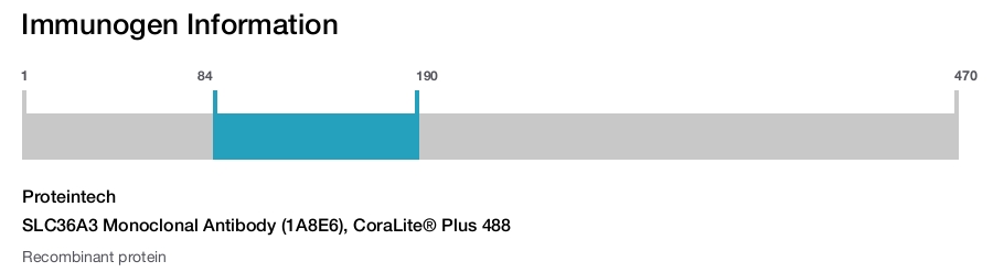 SLC36A3 Monoclonal Antibody (1A8E6), CoraLite&reg; Plus 488
