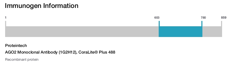 AGO2 Monoclonal Antibody (1G2H12), CoraLite&reg; Plus 488