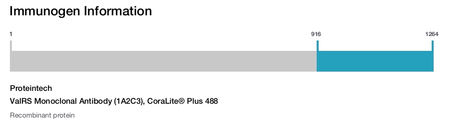 ValRS Monoclonal Antibody (1A2C3), CoraLite&reg; Plus 488
