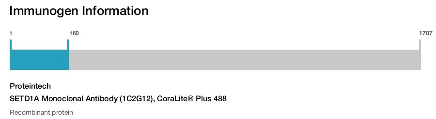 SETD1A Monoclonal Antibody (1C2G12), CoraLite&reg; Plus 488