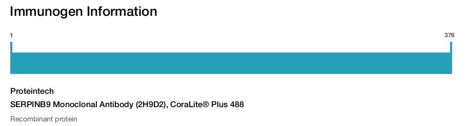 SERPINB9 Monoclonal Antibody (2H9D2), CoraLite&reg; Plus 488