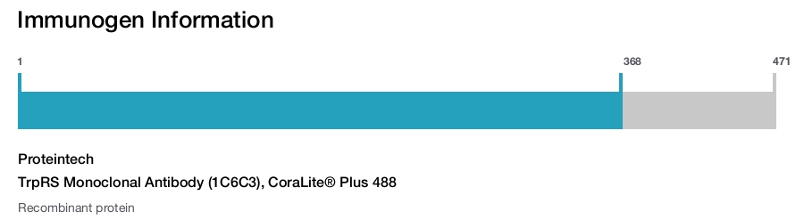 TrpRS Monoclonal Antibody (1C6C3), CoraLite&reg; Plus 488