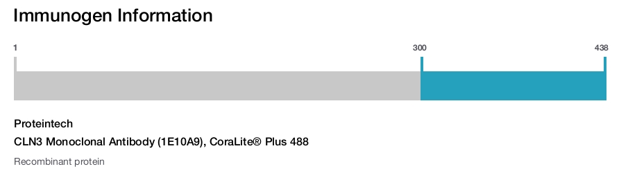 CLN3 Monoclonal Antibody (1E10A9), CoraLite&reg; Plus 488
