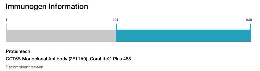 CCT6B Monoclonal Antibody (2F11A9), CoraLite&reg; Plus 488
