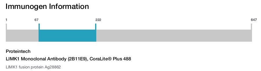 LIMK1 Monoclonal Antibody (2B11E9), CoraLite&reg; Plus 488