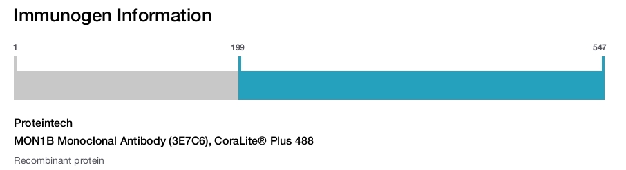 MON1B Monoclonal Antibody (3E7C6), CoraLite&reg; Plus 488