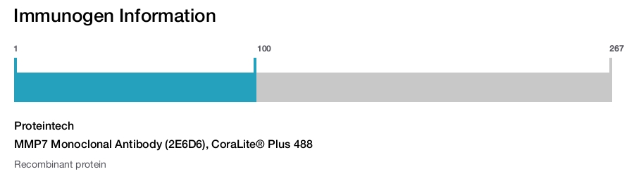 MMP7 Monoclonal Antibody (2E6D6), CoraLite&reg; Plus 488