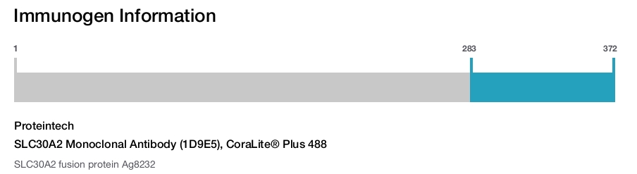 SLC30A2 Monoclonal Antibody (1D9E5), CoraLite&reg; Plus 488