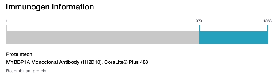 MYBBP1A Monoclonal Antibody (1H2D10), CoraLite&reg; Plus 488
