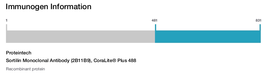 Sortilin Monoclonal Antibody (2B11B9), CoraLite&reg; Plus 488