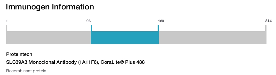 SLC39A3 Monoclonal Antibody (1A11F6), CoraLite&reg; Plus 488