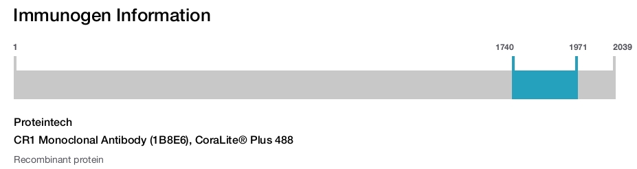 CR1 Monoclonal Antibody (1B8E6), CoraLite&reg; Plus 488