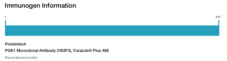 PGK1 Monoclonal Antibody (1B2F3), CoraLite&reg; Plus 488